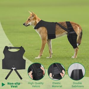 Dog Knee Brace Torn ACL Hind Leg Ortho rear Leg Wrap 2 Metal Stabilizer SMALL